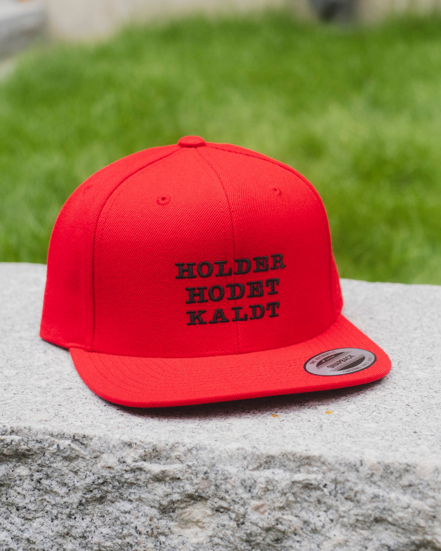 Holder Hodet Kaldt - Admiral P snapback